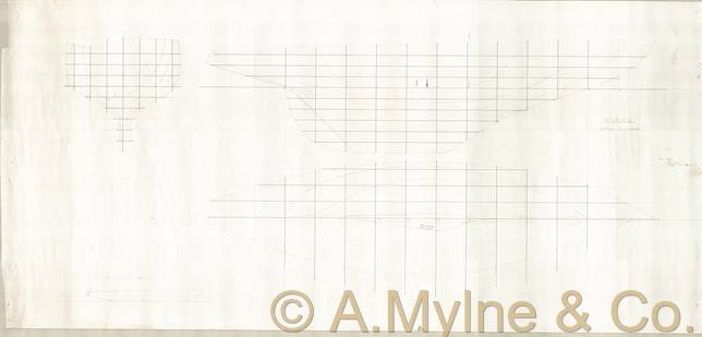 Design 446 — Lines Plan