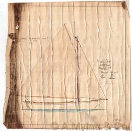 Design 45 — Sail Plan