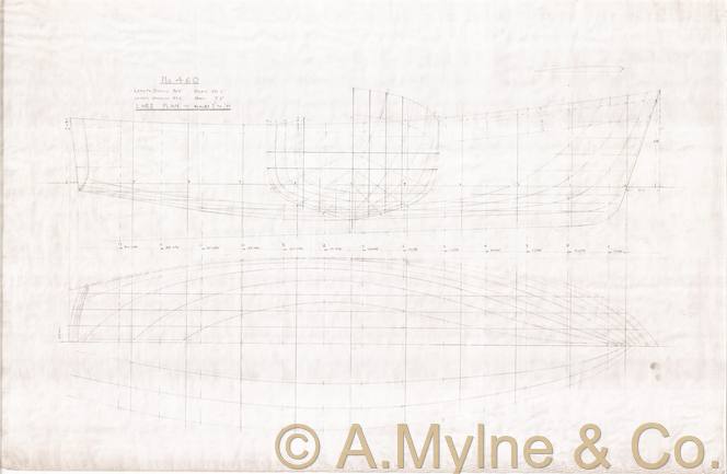 Design 460 — Lines Plan