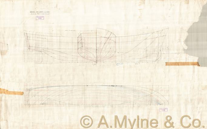 Design 481 — Lines Plan