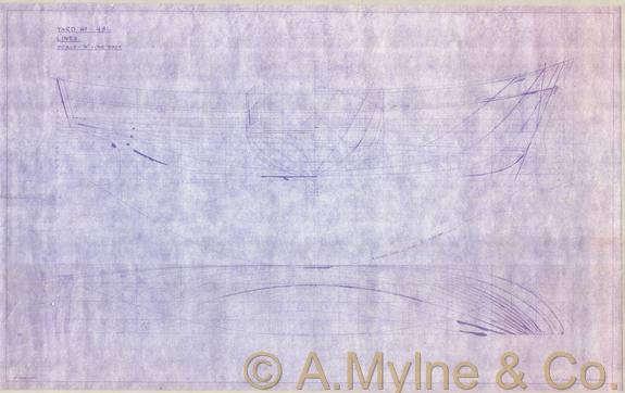 Design 484 — Lines Plan
