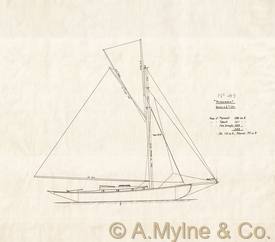 Design 49 — Sail Plan