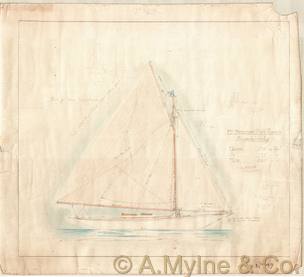 Design 49 — Sail Plan