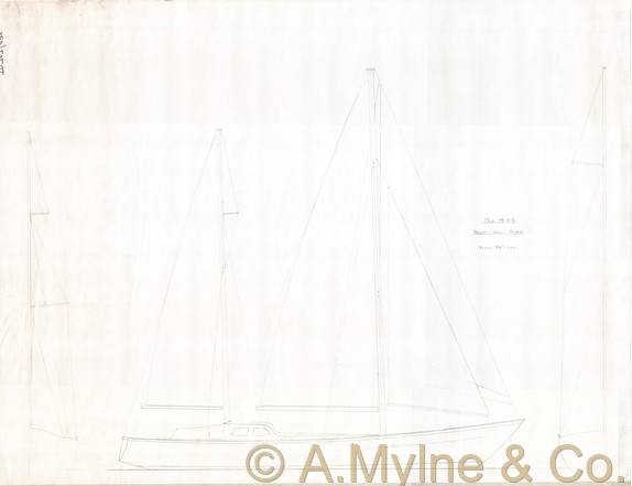Design 495 — Sail Plan