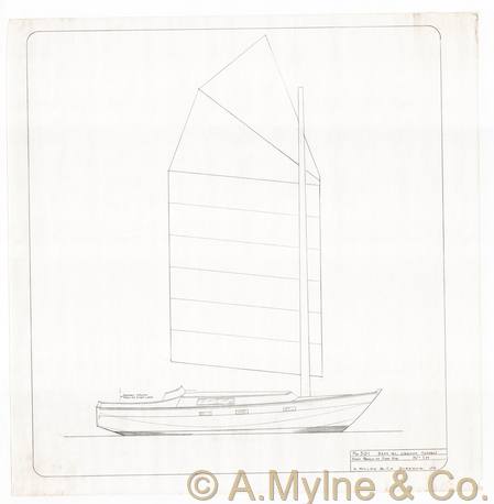 Design 501 — Sail Plan