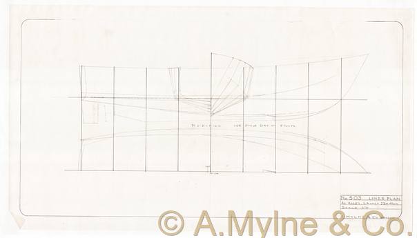 Design 503 — Lines Plan