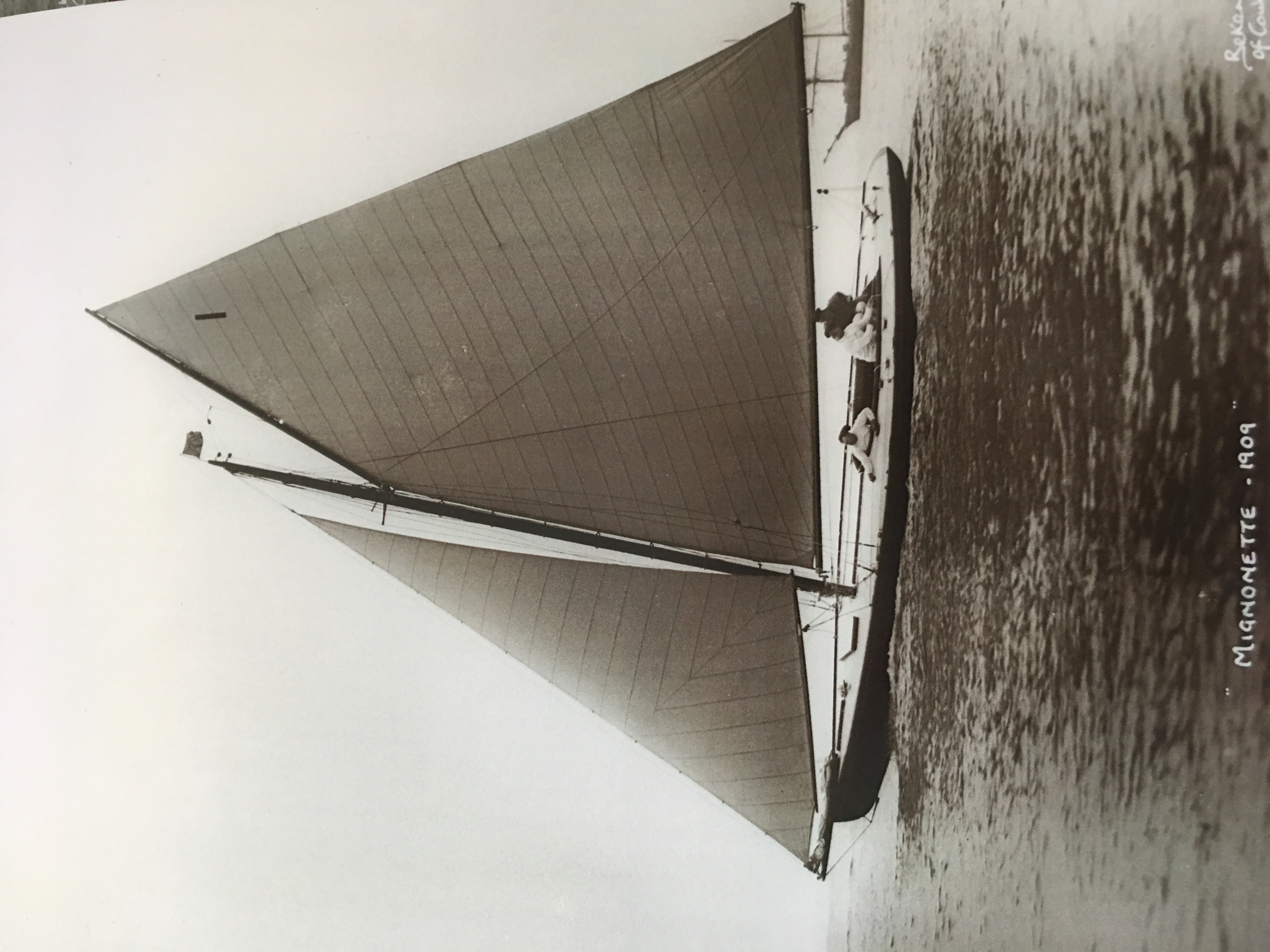Mignonette — photo 4