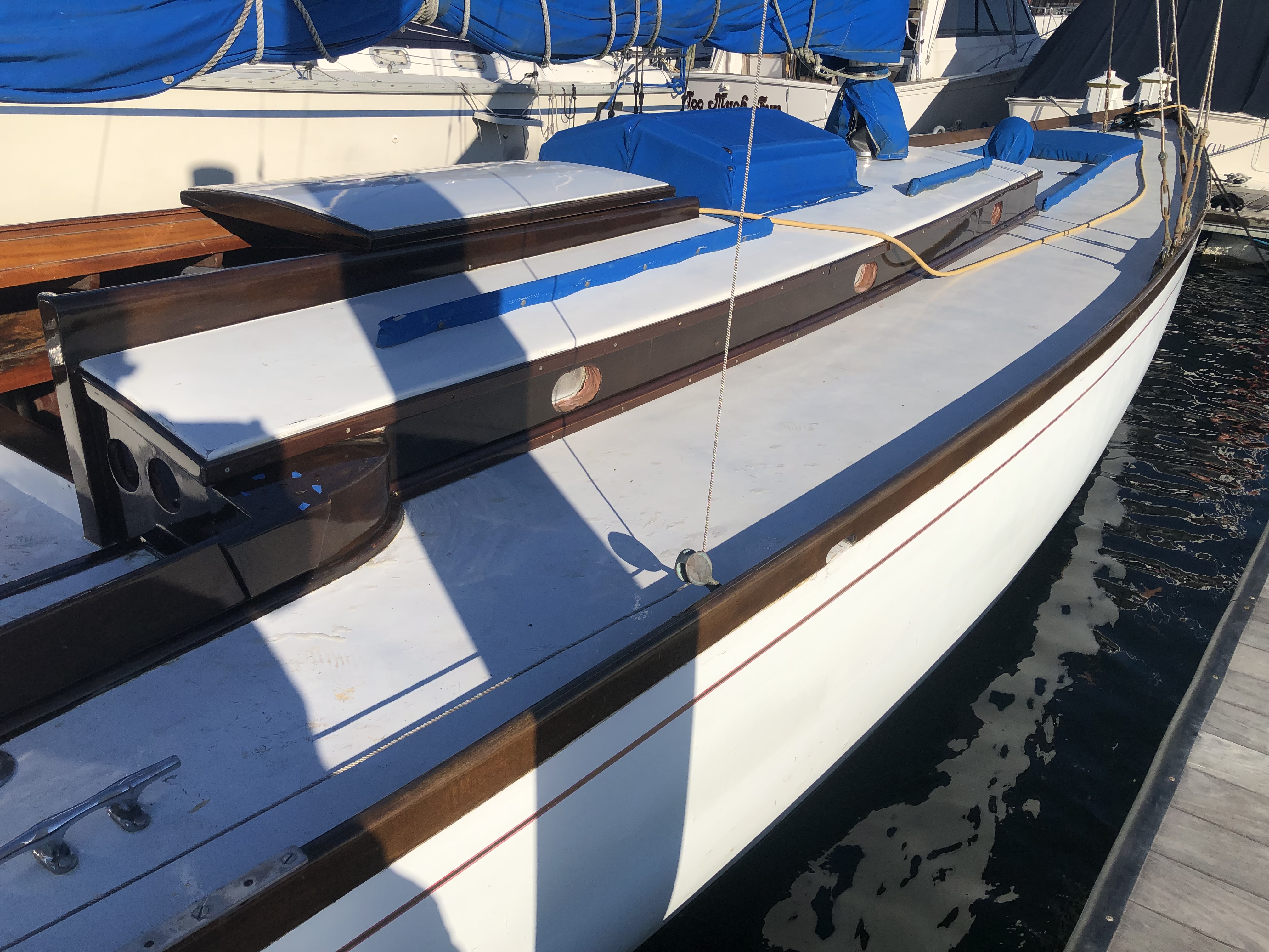 Pandora — photo 10