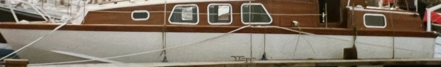 Miss Abu — photo 2