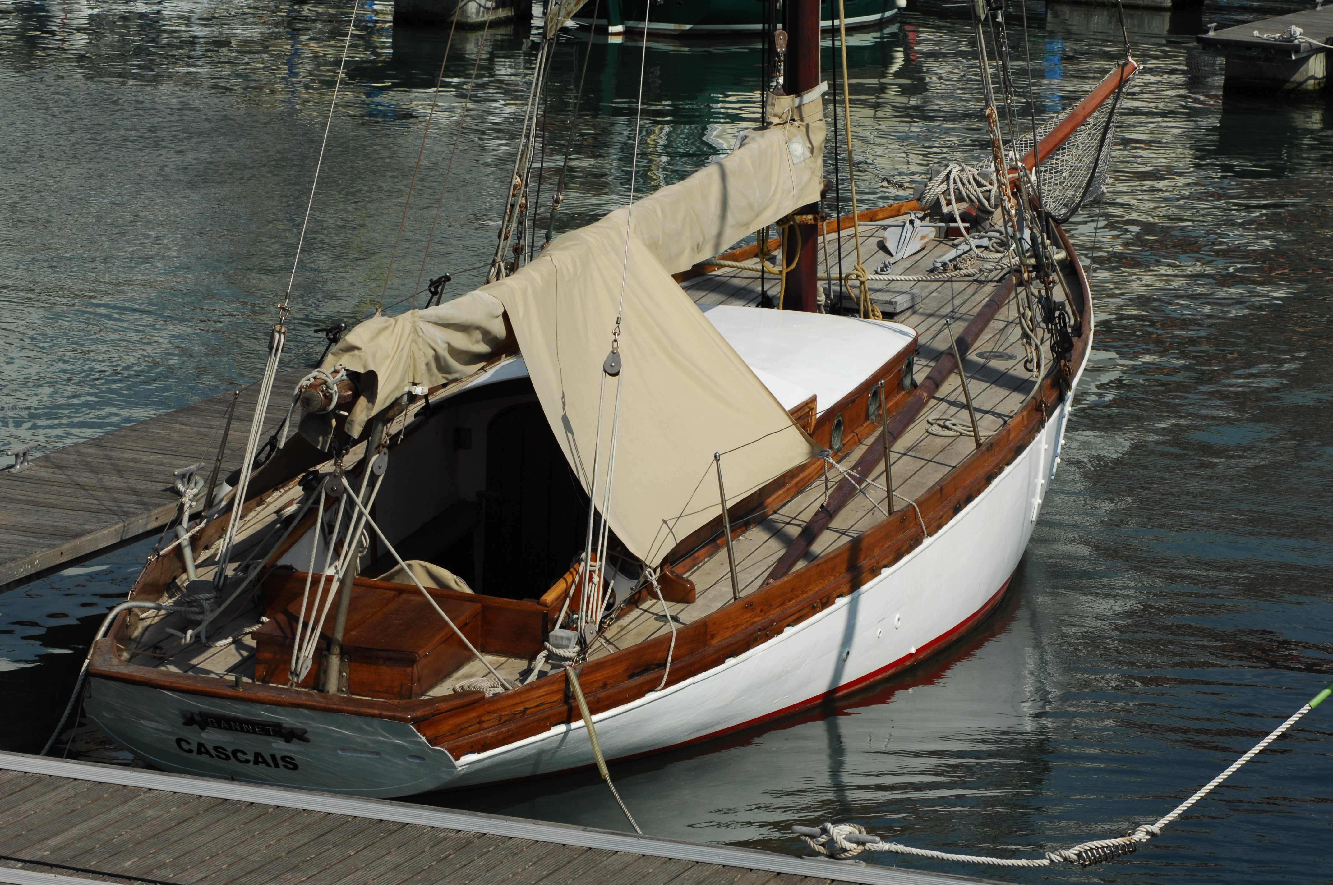 Gannet — photo 1